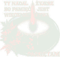 Mały znicz wśród jesiennych liści 1 listopad